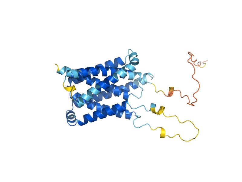 AlphaFold predicted structure of BXI1