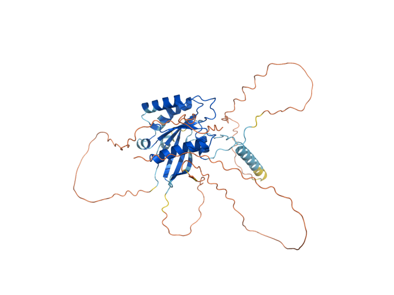 AlphaFold predicted structure of YPT11