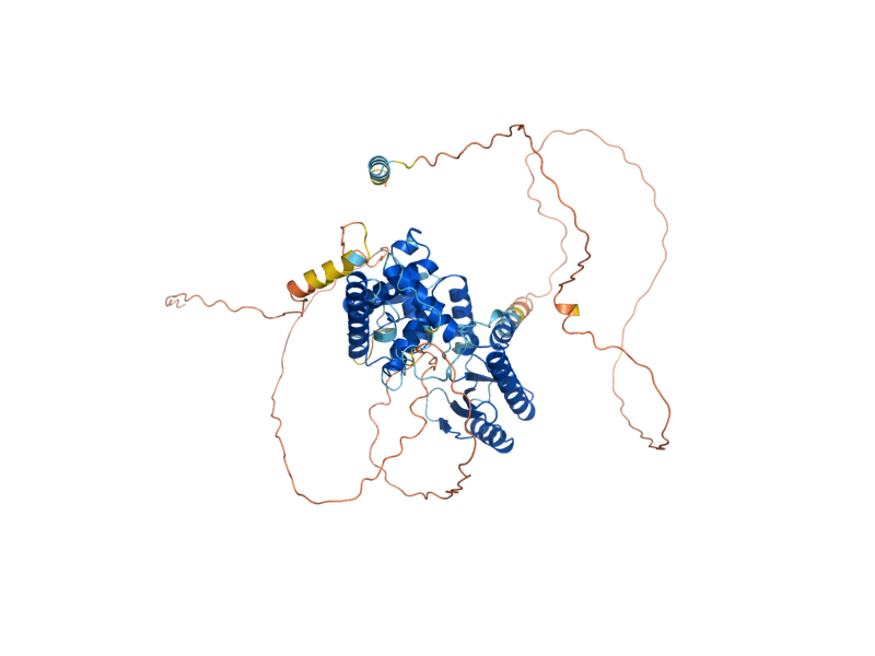 AlphaFold predicted structure of TRF5