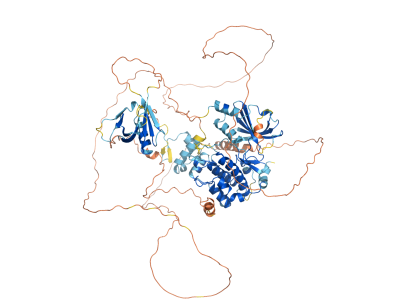 AlphaFold predicted structure of CLA4