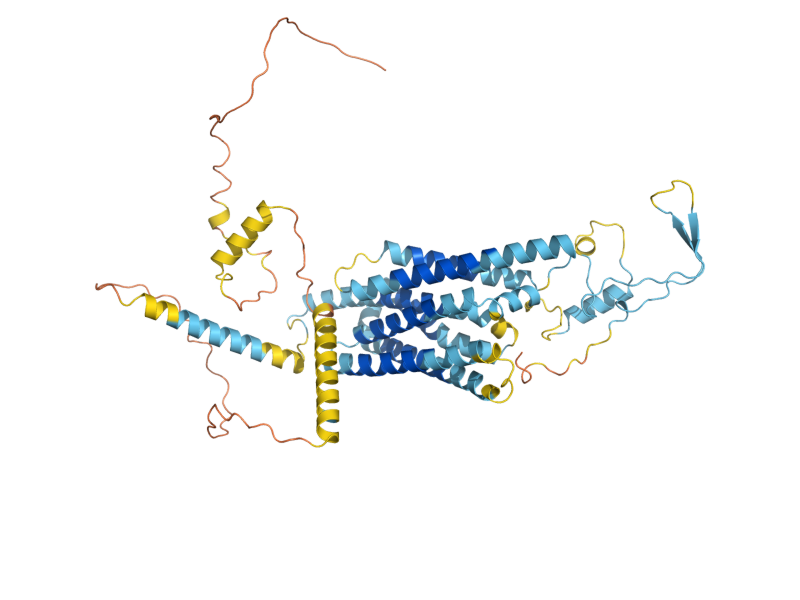 AlphaFold predicted structure of RIM21