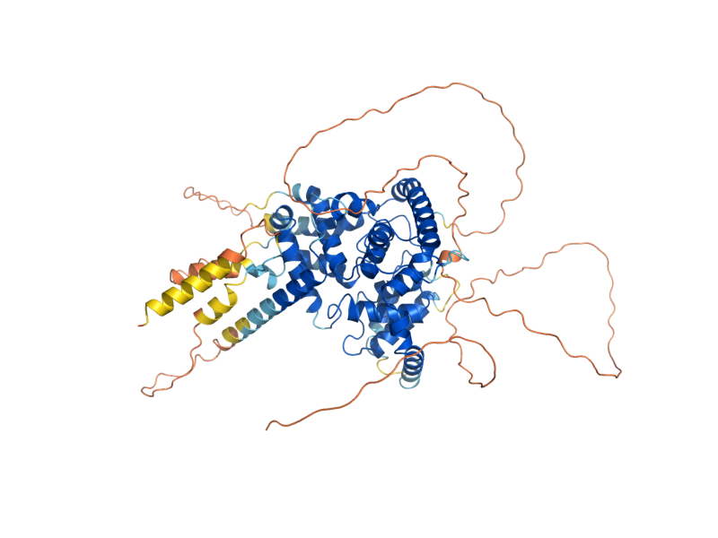 AlphaFold predicted structure of MSB3