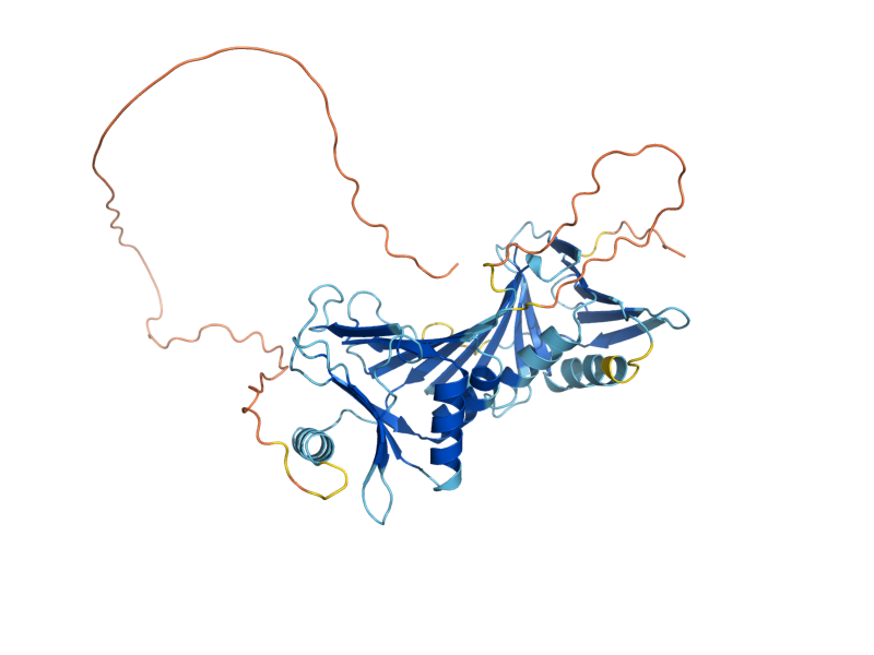 AlphaFold predicted structure of RAD17