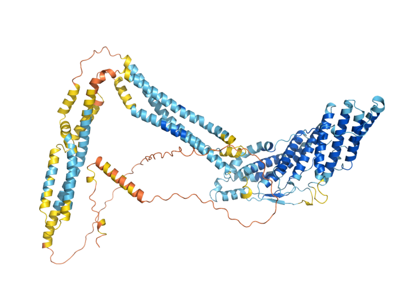 AlphaFold predicted structure of BRO1