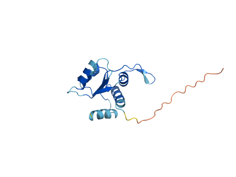 AlphaFold predicted structure of RPS12