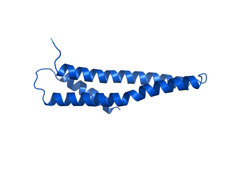 AlphaFold predicted structure of RBL2