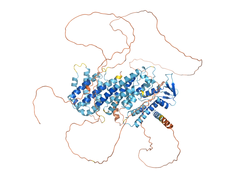 AlphaFold predicted structure of RFX1