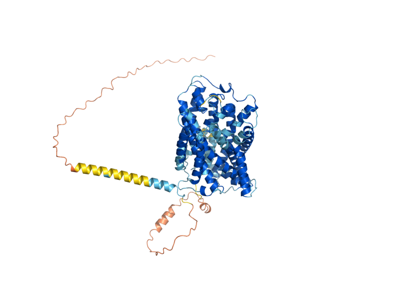 AlphaFold predicted structure of GNP1