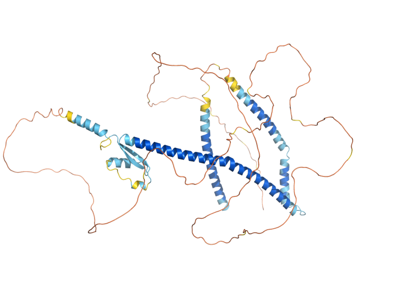 AlphaFold predicted structure of NUP57