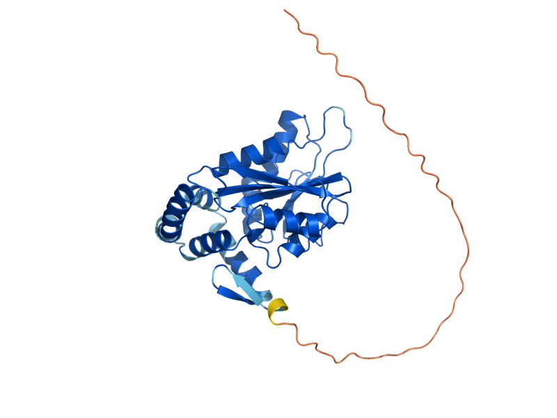 AlphaFold predicted structure of COQ5