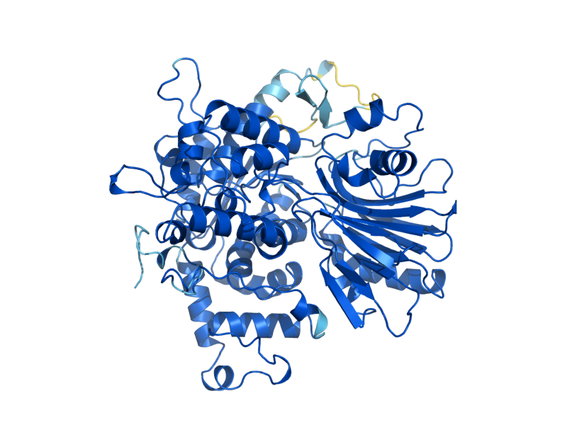 AlphaFold predicted structure of ASN1