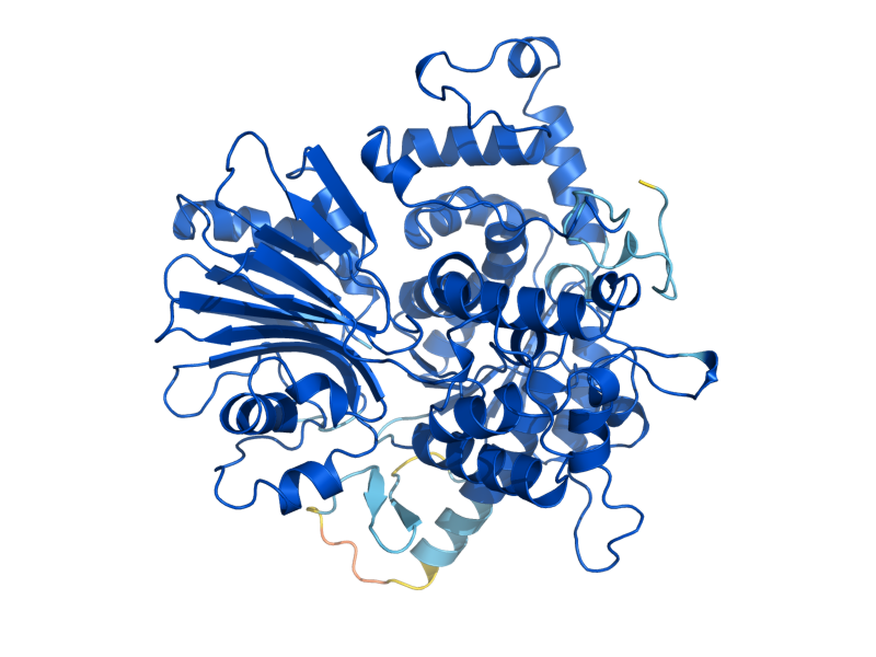 AlphaFold predicted structure of ASN2