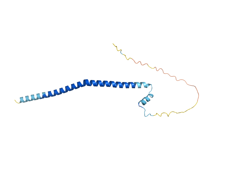 AlphaFold predicted structure of TOM22