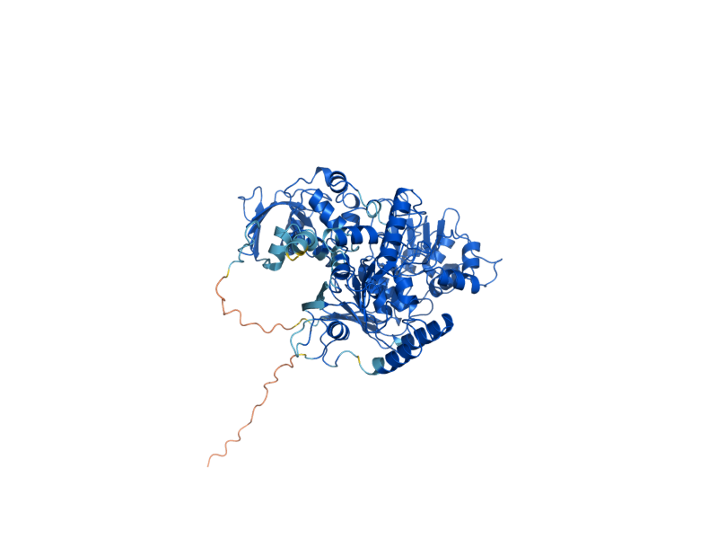 AlphaFold predicted structure of LYS4