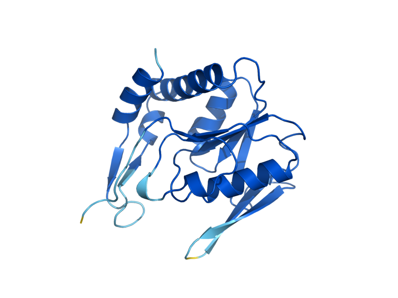 AlphaFold predicted structure of APT1