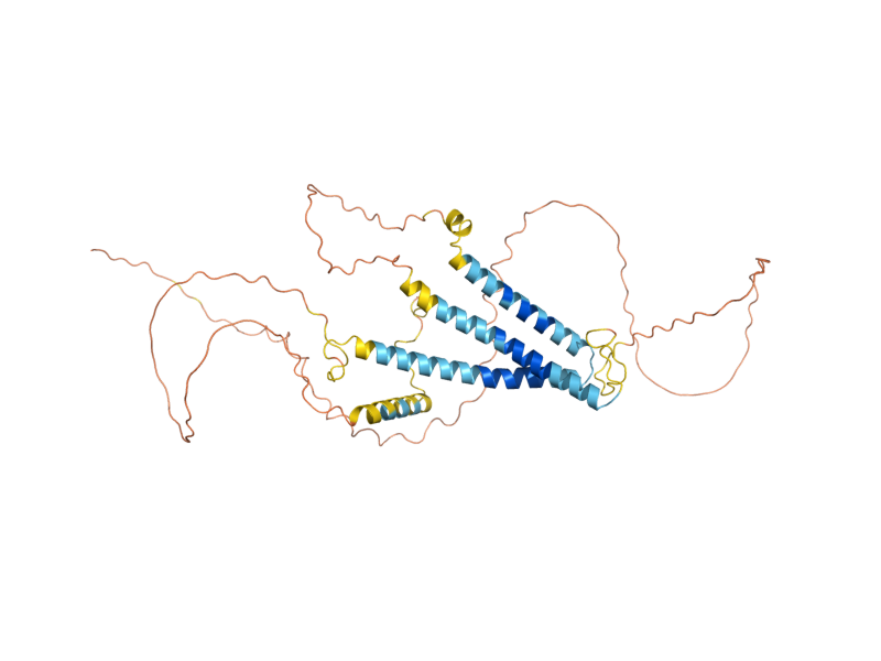 AlphaFold predicted structure of CTR1