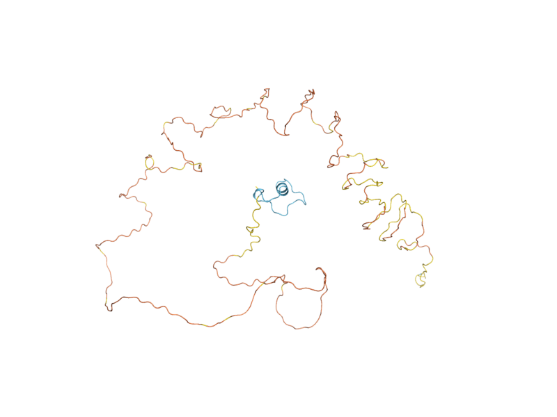 AlphaFold predicted structure of NUP42