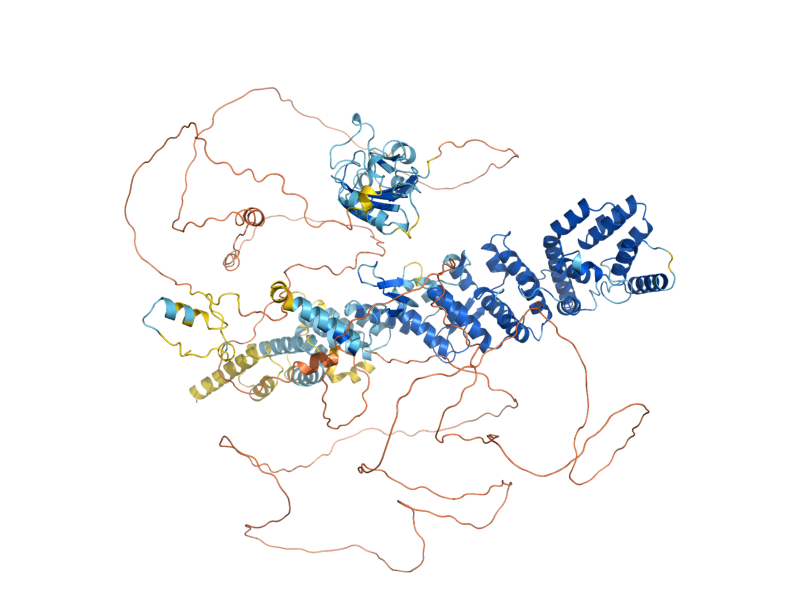AlphaFold predicted structure of NUP145
