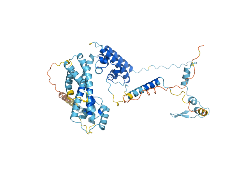 AlphaFold predicted structure of PRP31