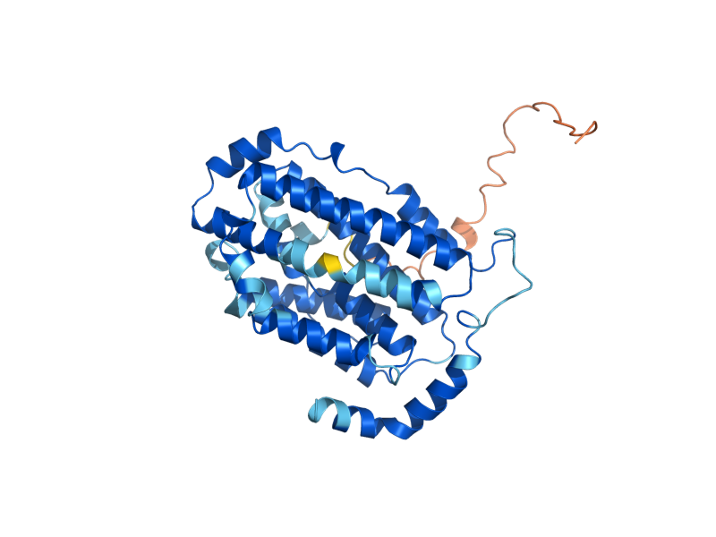 AlphaFold predicted structure of RNR4