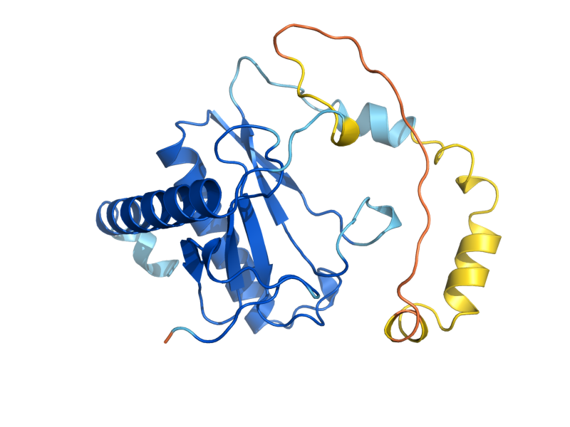 AlphaFold predicted structure of HNT2