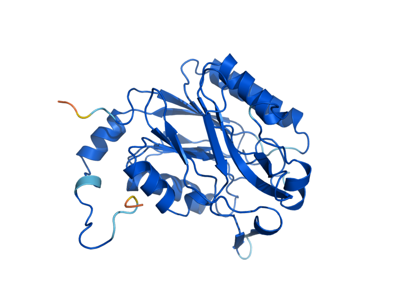 AlphaFold predicted structure of NIT3