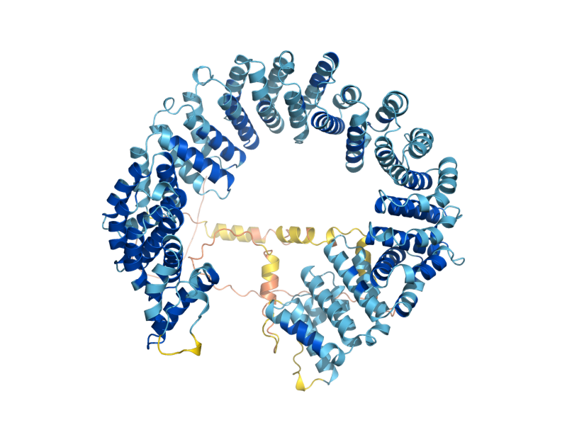 AlphaFold predicted structure of HSH155