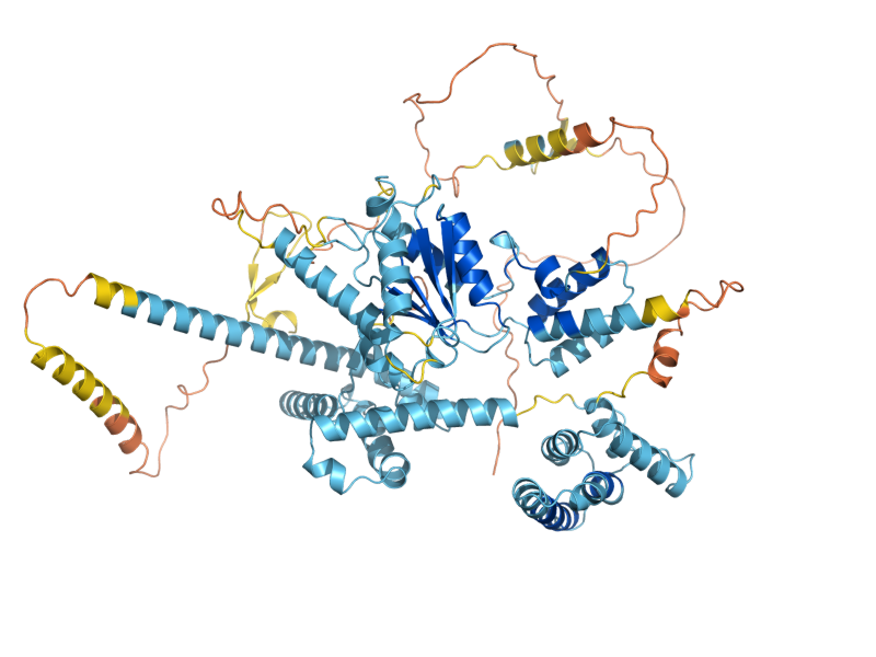 AlphaFold predicted structure of CTF18