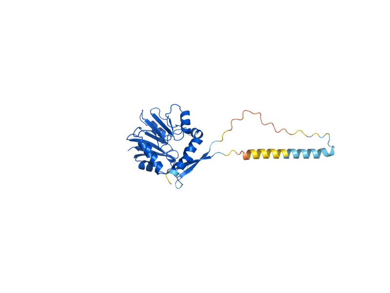 AlphaFold predicted structure of TRM9