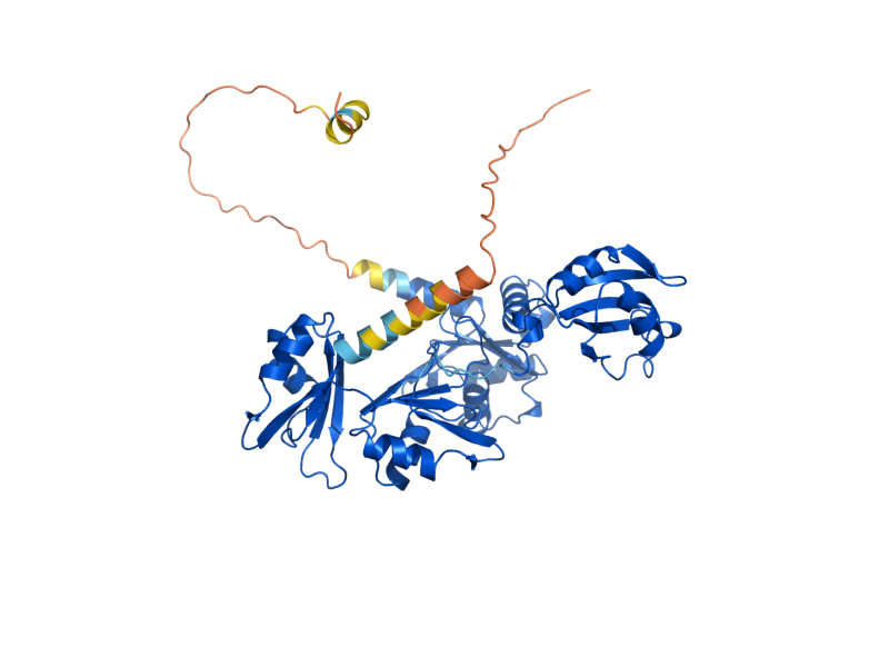 AlphaFold predicted structure of PRP24