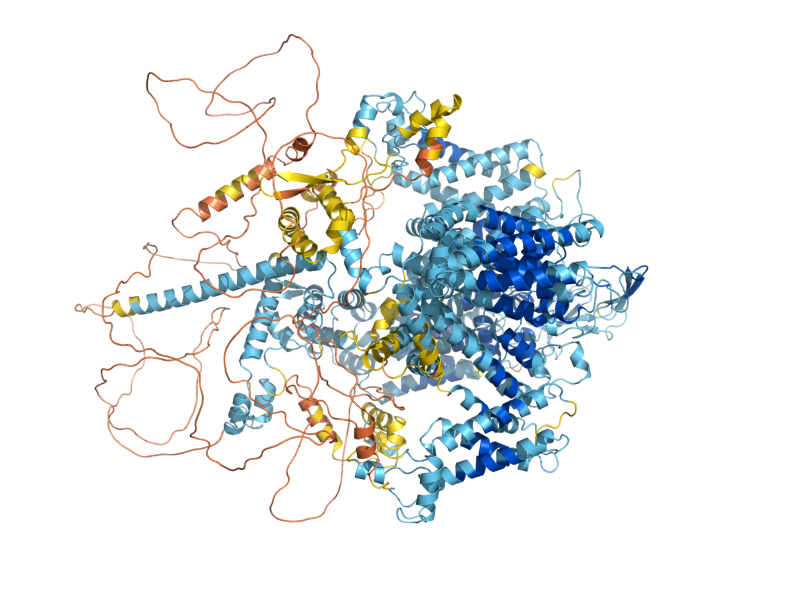 AlphaFold predicted structure of CCH1