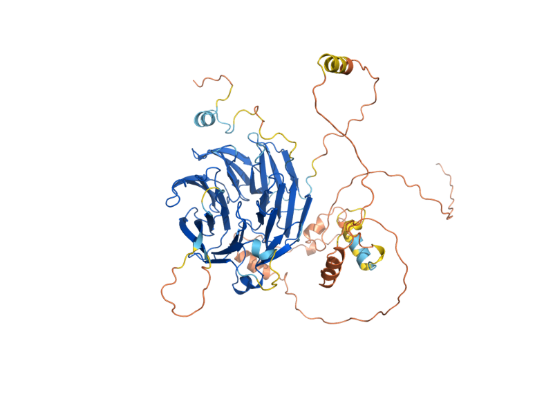 AlphaFold predicted structure of AMA1