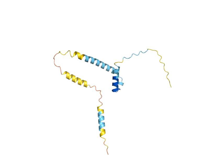 AlphaFold predicted structure of BNS1