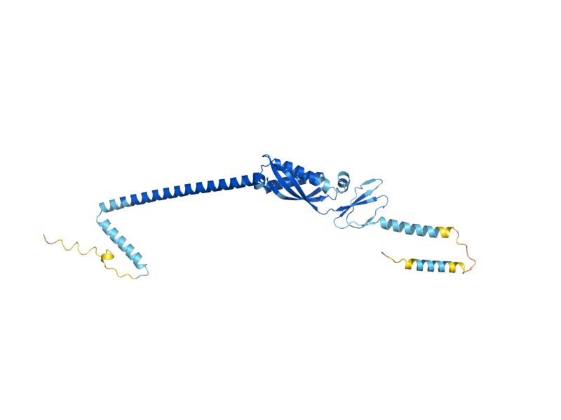 AlphaFold predicted structure of PHB2