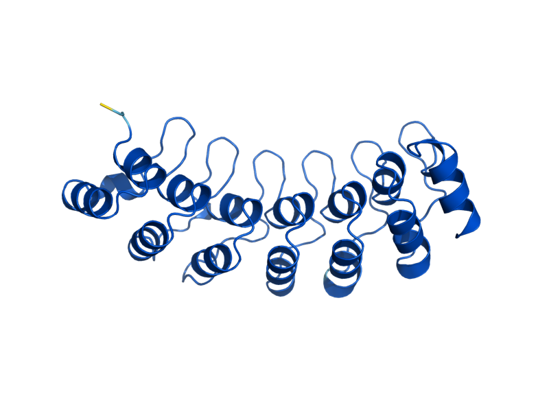 AlphaFold predicted structure of NAS6