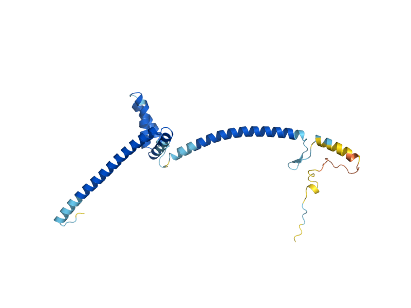 AlphaFold predicted structure of MIC26