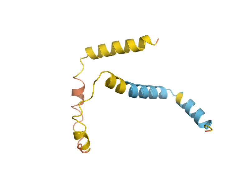 AlphaFold predicted structure of SPG1