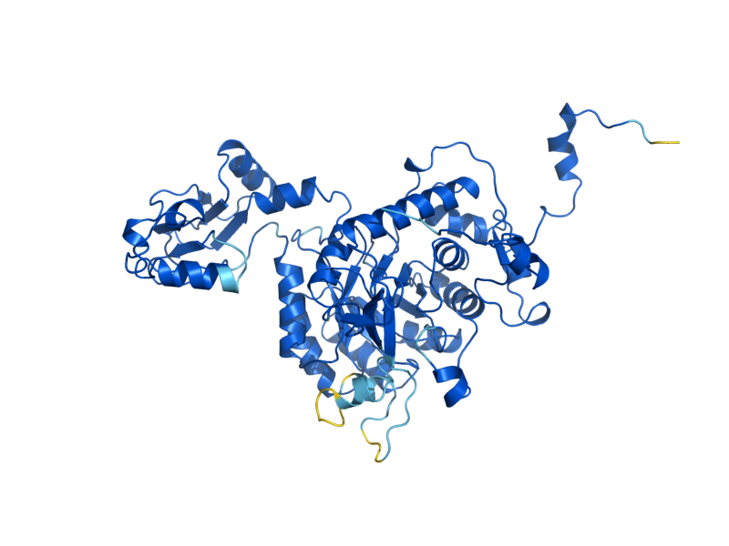 AlphaFold predicted structure of IMD4