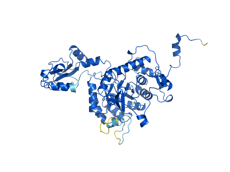 AlphaFold predicted structure of IMD3
