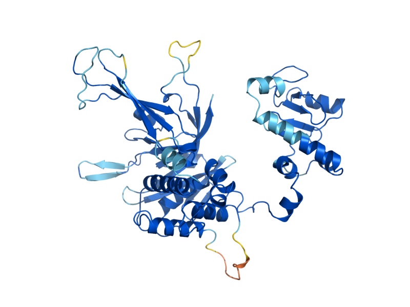AlphaFold predicted structure of UBP8