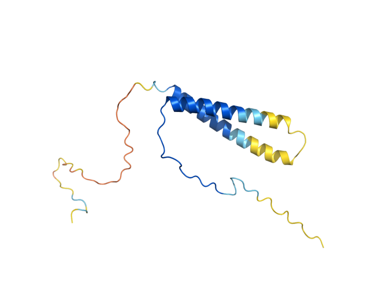 AlphaFold predicted structure of RPA14