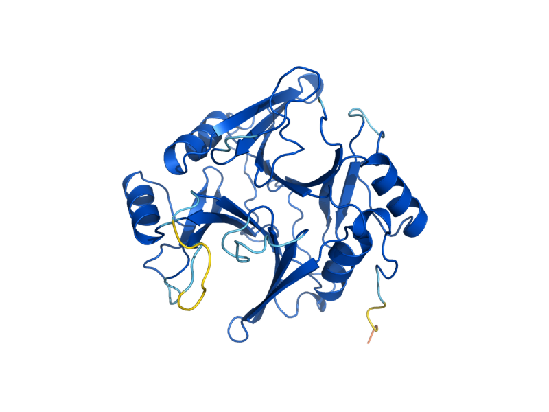 AlphaFold predicted structure of GLO1