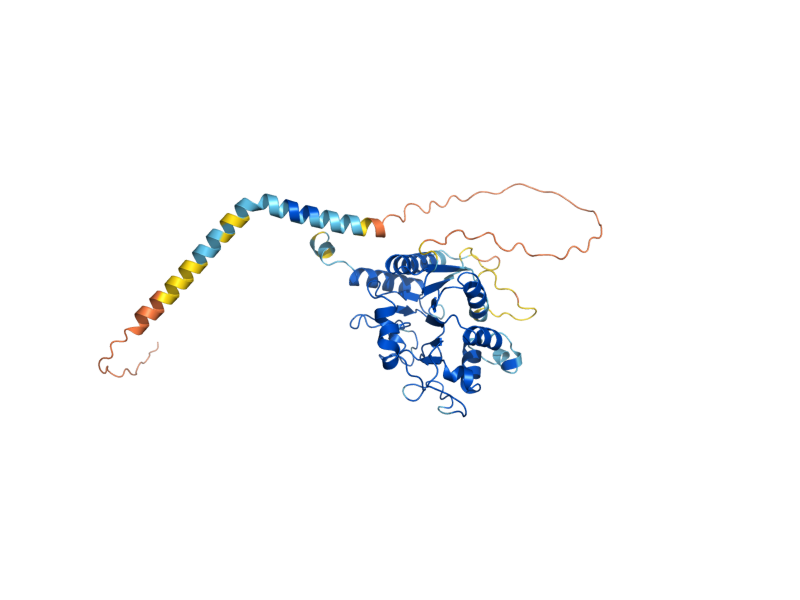 AlphaFold predicted structure of MNN10