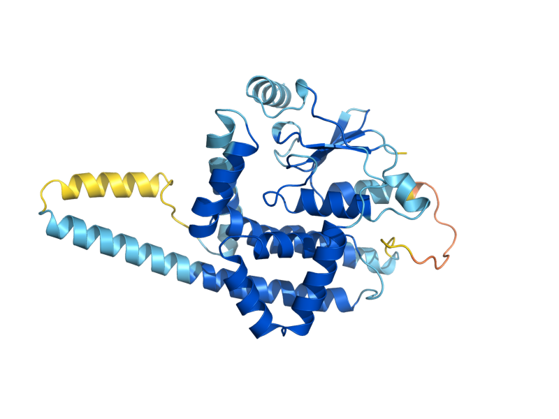 AlphaFold predicted structure of SAM37