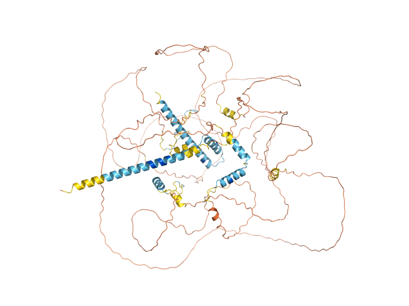 AlphaFold predicted structure of ZDS1