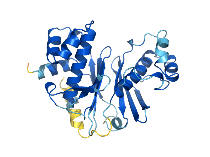 AlphaFold predicted structure of LYS5