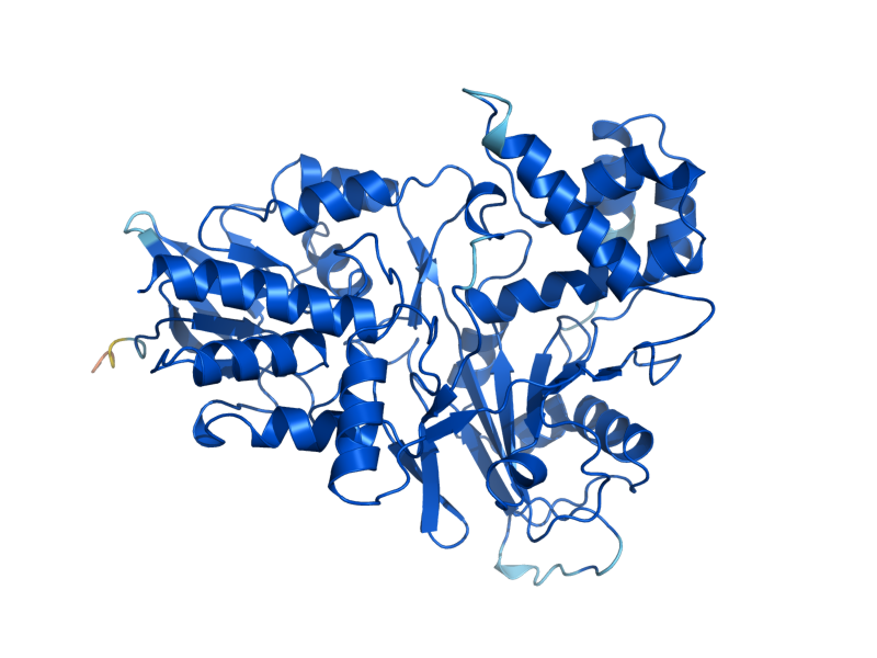 AlphaFold predicted structure of FMS1