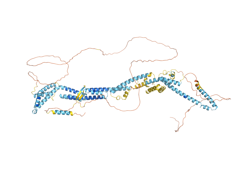 AlphaFold predicted structure of ASE1