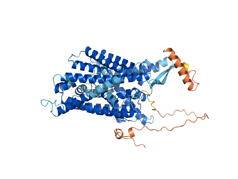 AlphaFold predicted structure of MUP1