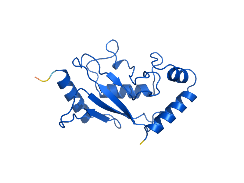 AlphaFold predicted structure of UBC9